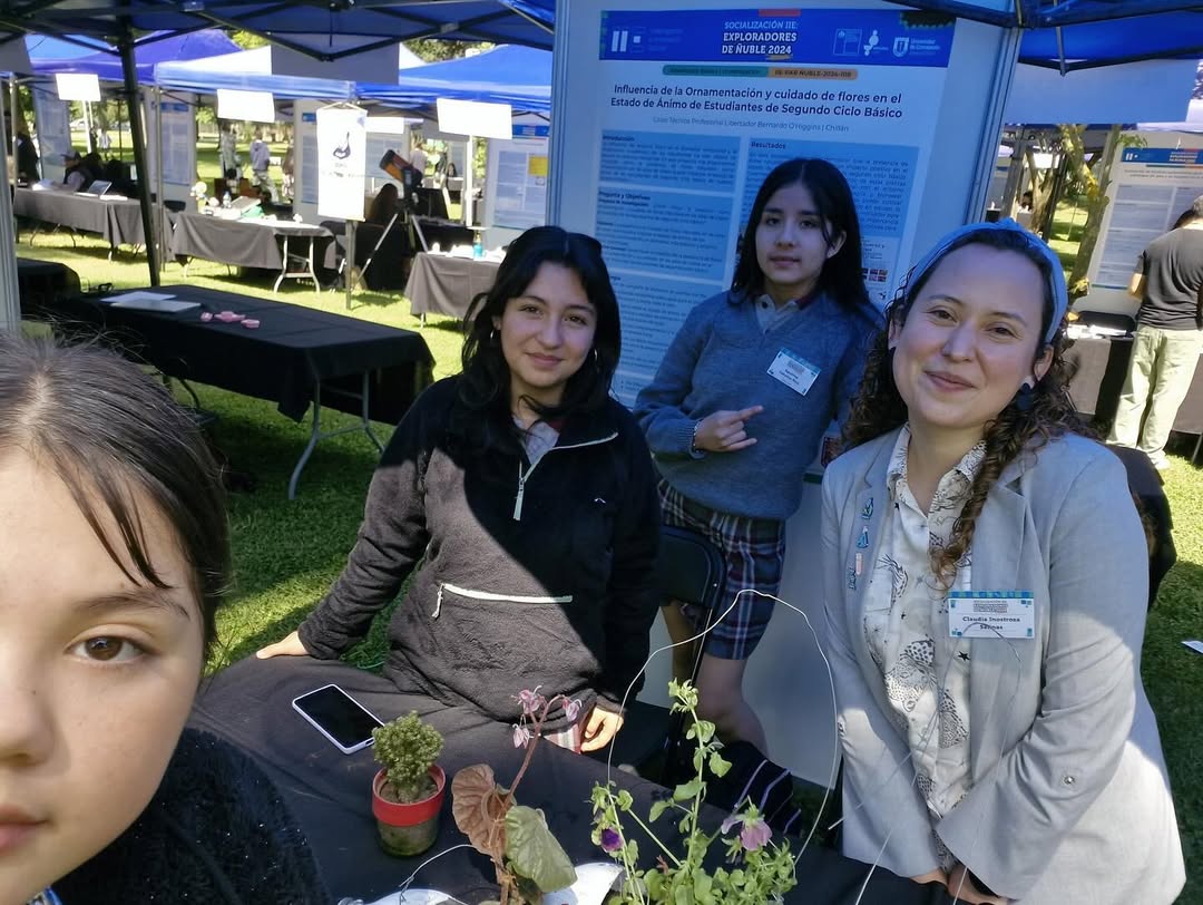 Imagen de fondo del liceo 4